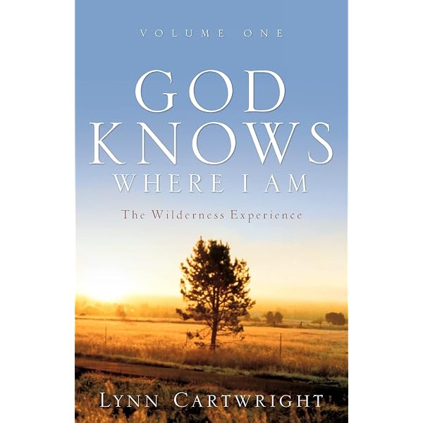 Amazon.com: God Knows Where I Am : Lori Singer, Todd Wider, Jedd